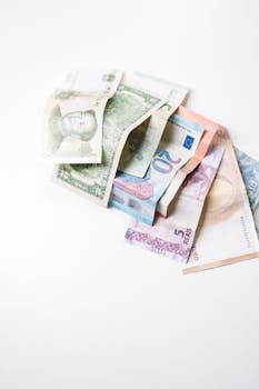 上交所路演聚焦两会信号，外资长钱持续青睐中国资产配置价值。