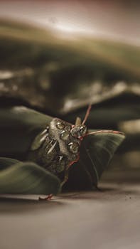  齐白石草虫世界首次全貌呈现；问虫展览开启艺术与科学对话。 文化旅游 齐白石草虫世界首次全貌呈现；问虫展览开启艺术与科学对话。 文化旅游