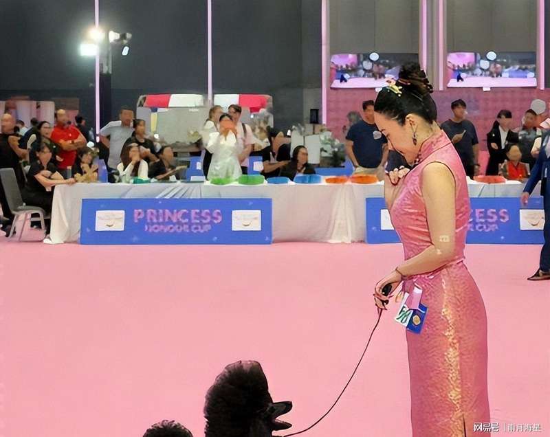  霍思燕的转型密码：从“交际花”到训犬冠军的职业跃迁逻辑 娱乐新闻