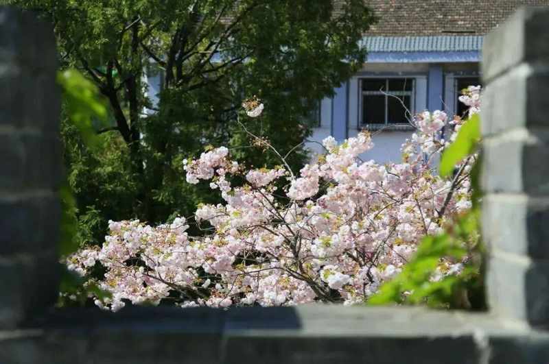  秦岭深山AI康养实践报告：舌诊检测·机器人理疗·药膳汤锅，这套系统重新定义山居民宿 新闻 秦岭深山AI康养实践报告：舌诊检测·机器人理疗·药膳汤锅，这套系统重新定义山居民宿 新闻
