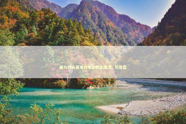 算力尽头是电力电力概念爆发_引用型