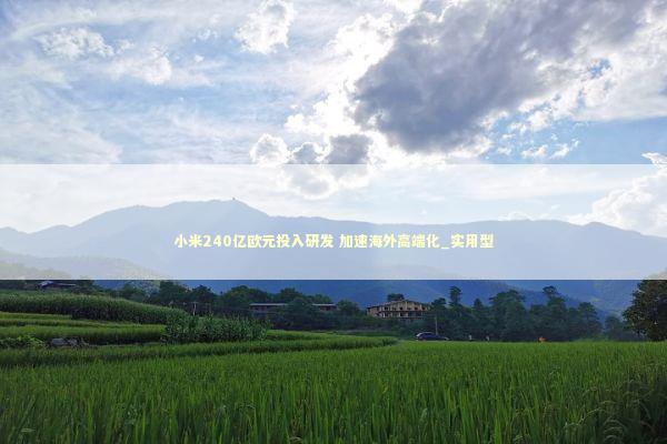 小米240亿欧元投入研发 加速海外高端化_实用型