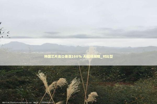 韩国芯片出口暴涨160% AI超级周期_对比型