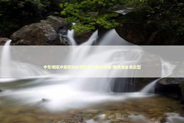 中东地缘冲突扰动全球化肥与粮食供给-粮食安全悬念型