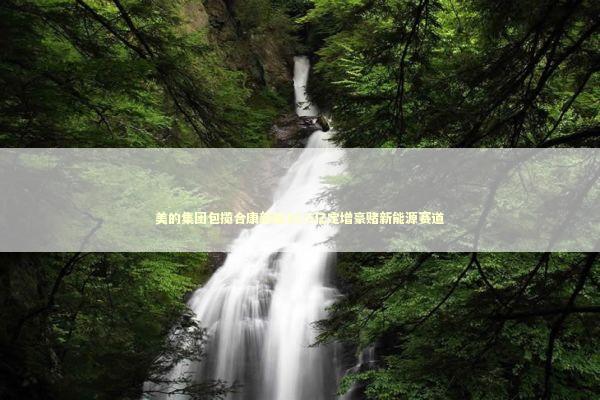 美的集团包揽合康新能16.5亿定增豪赌新能源赛道