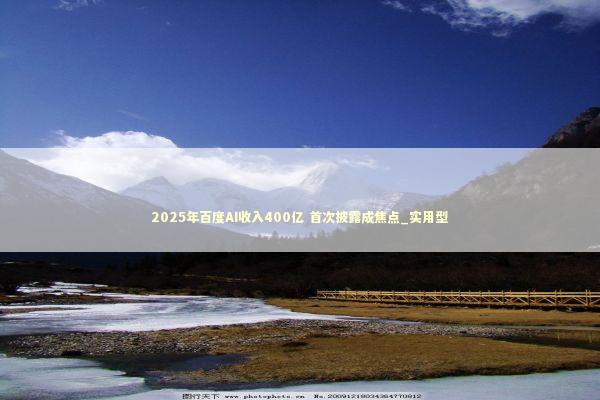 2025年百度AI收入400亿 首次披露成焦点_实用型