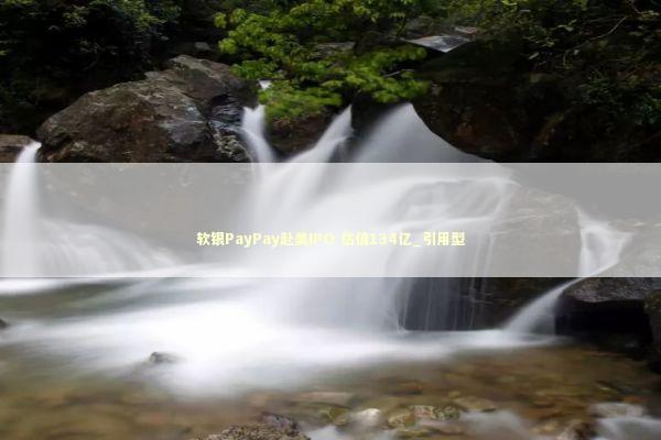 软银PayPay赴美IPO 估值134亿_引用型