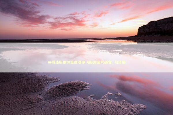 三桶油历史性集体涨停 A股迎油气盛宴_引用型