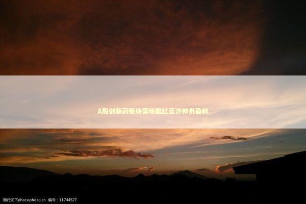 A股创新药板块营收飘红百济神州盈利