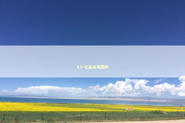 03-亿晶光电跌停