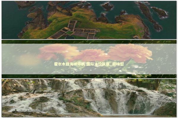 霍尔木兹海峡停航 国际油价飙涨_趣味型