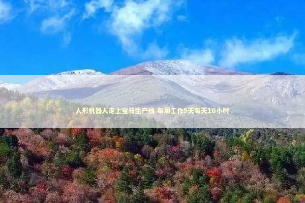 人形机器人走上宝马生产线 每周工作5天每天10小时 新闻