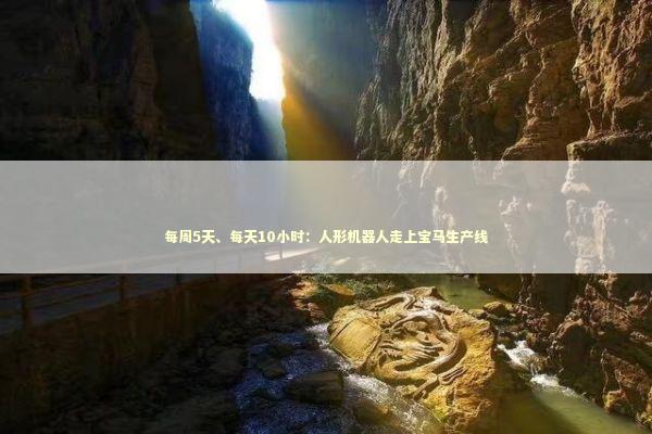 每周5天、每天10小时：人形机器人走上宝马生产线