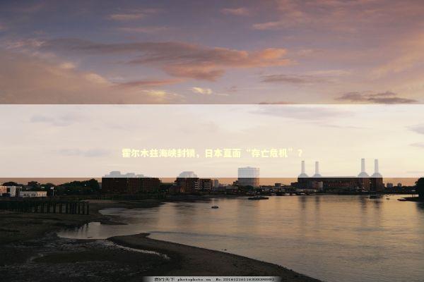 霍尔木兹海峡封锁，日本直面“存亡危机”？