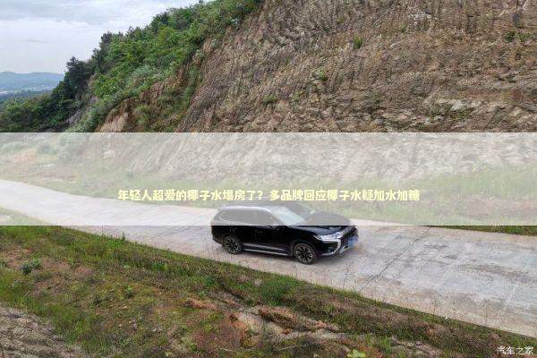 年轻人超爱的椰子水塌房了？多品牌回应椰子水疑加水加糖