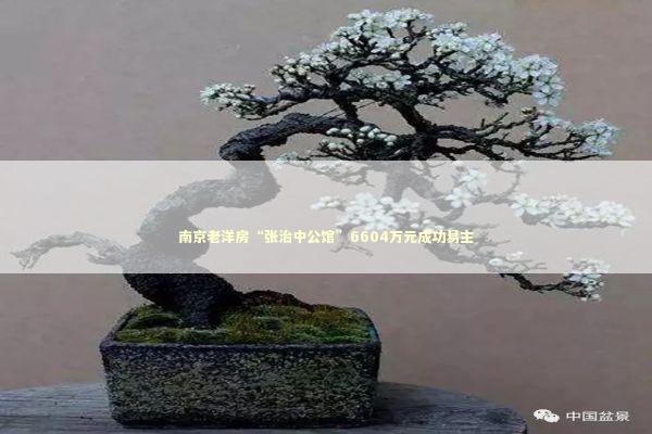 南京老洋房“张治中公馆”6604万元成功易主