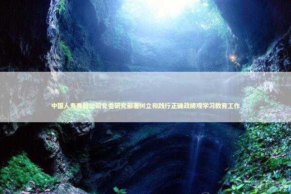 中国人寿寿险公司党委研究部署树立和践行正确政绩观学习教育工作