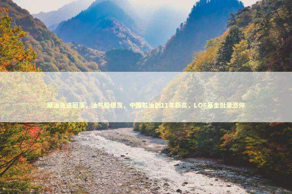 原油急速回落，油气股爆发，中国石油创11年新高，LOF基金批量涨停