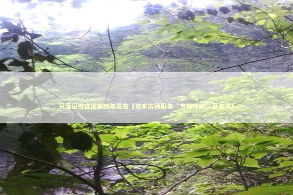 开源证券连续第四年发布《资本市场服务“专精特新”蓝皮书》