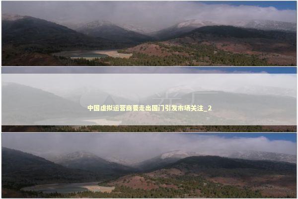 中国虚拟运营商要走出国门引发市场关注_2