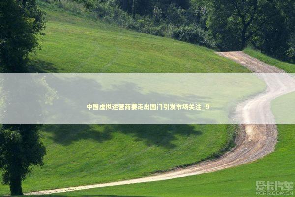 中国虚拟运营商要走出国门引发市场关注_9