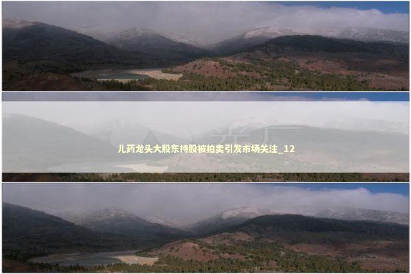 儿药龙头大股东持股被拍卖引发市场关注_12