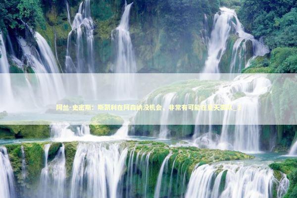 阿兰-史密斯：斯凯利在阿森纳没机会，非常有可能在夏天离队_2