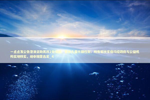 一点点发公告澄清资助男孩2处误解：帮扶儿童不限性别；所有帮扶家庭均经政府与公益机构实地核实，绝非随意选定_4