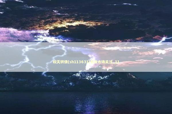 皖天转债(sh113631)引发市场关注_11