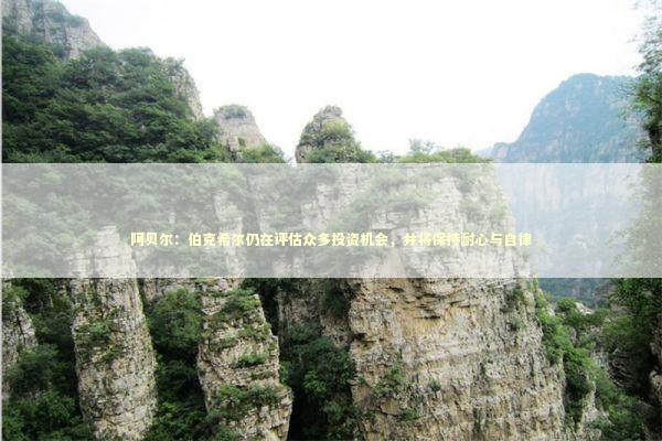 阿贝尔：伯克希尔仍在评估众多投资机会，并将保持耐心与自律