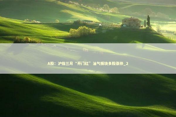 A股：沪指三月“开门红”油气板块多股涨停_2