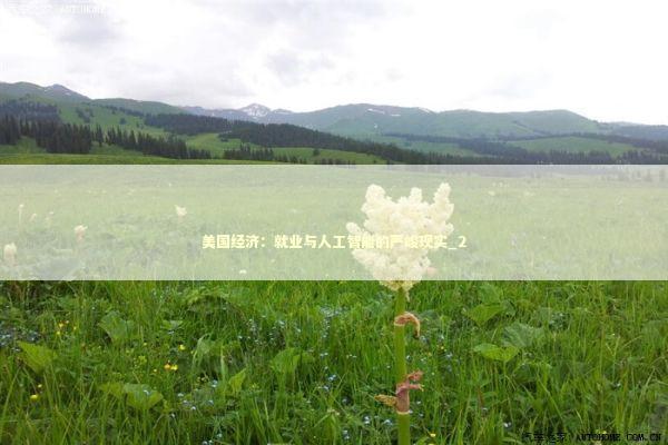 美国经济：就业与人工智能的严峻现实_2