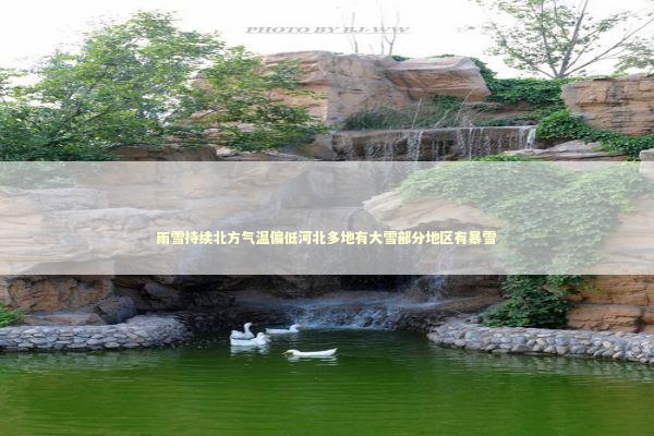 雨雪持续北方气温偏低河北多地有大雪部分地区有暴雪