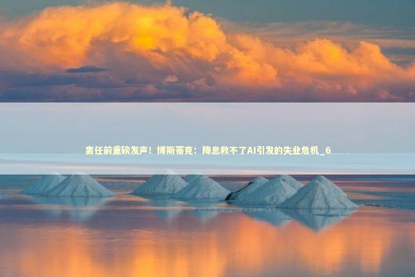 离任前重磅发声！博斯蒂克：降息救不了AI引发的失业危机_6