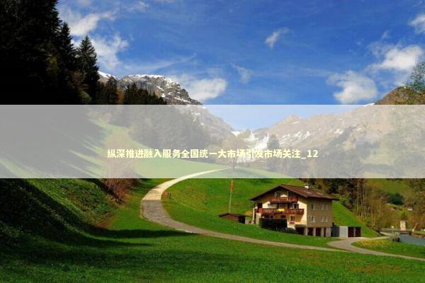 纵深推进融入服务全国统一大市场引发市场关注_12