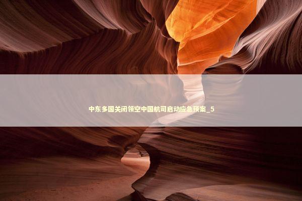 中东多国关闭领空中国航司启动应急预案_5