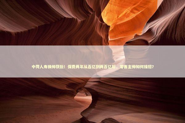 中荷人寿换帅获批！保费两年从百亿到两百亿后，零售主帅如何接招？