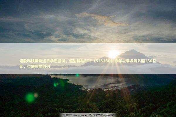 港股科技板块连日承压回调，恒生科技ETF（513130）今年以来净流入超130亿元，位居同类前列