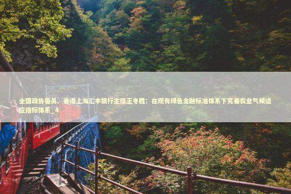 全国政协委员、香港上海汇丰银行主席王冬胜：在现有绿色金融标准体系下完善农业气候适应指标体系_4