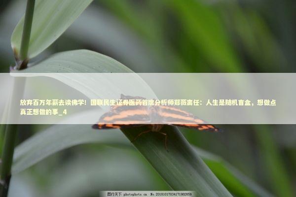 放弃百万年薪去读佛学！国联民生证券医药首席分析师郑薇离任：人生是随机盲盒，想做点真正想做的事_4