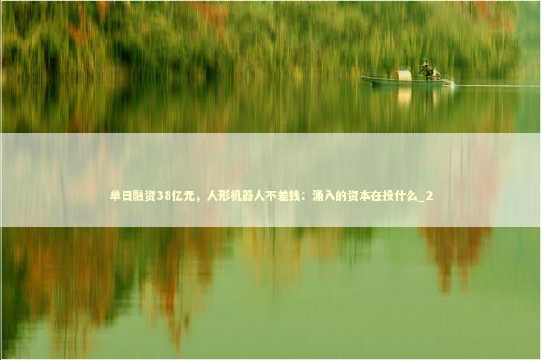 单日融资38亿元，人形机器人不差钱：涌入的资本在投什么_2