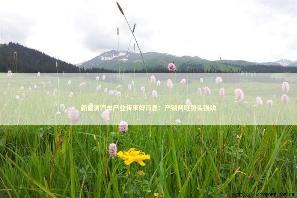 新能源汽车产业传来好消息：产销两旺势头强劲