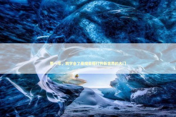 那一年，我学会了用搜索框打开新世界的大门 IT技术