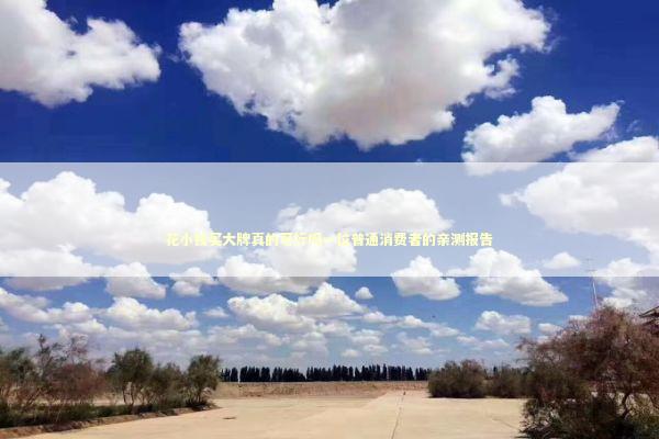 花小钱买大牌真的可行吗一位普通消费者的亲测报告